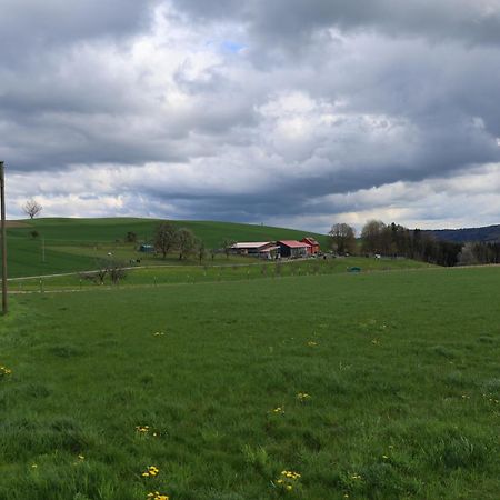 Ferienwohnung Hippenhof Hohenfels  Eksteriør bilde