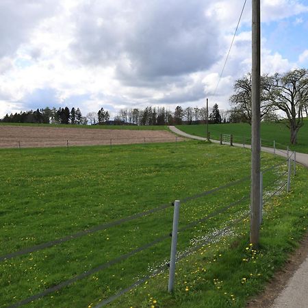 Ferienwohnung Hippenhof Hohenfels  Eksteriør bilde