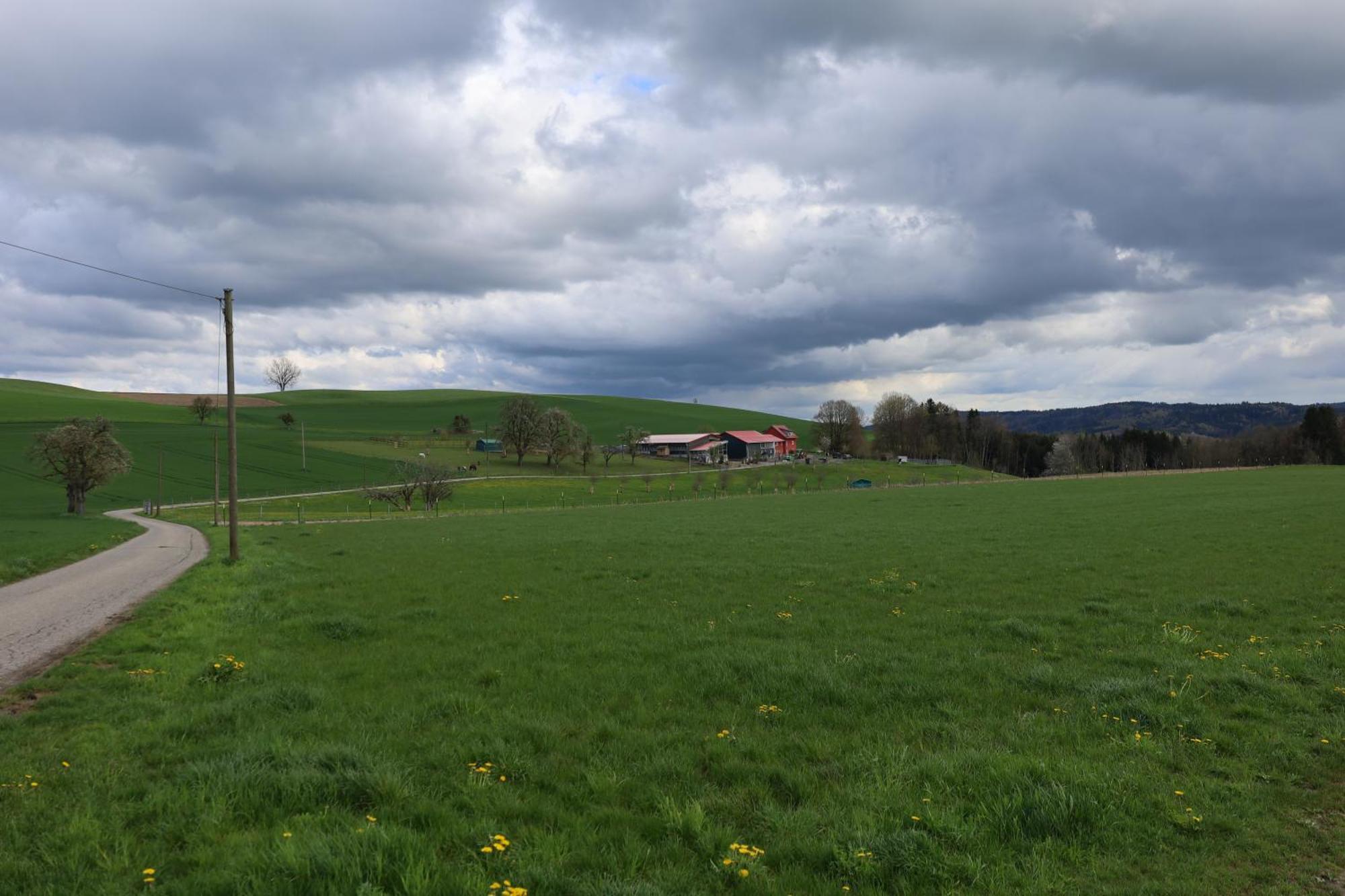 Ferienwohnung Hippenhof Hohenfels  Eksteriør bilde