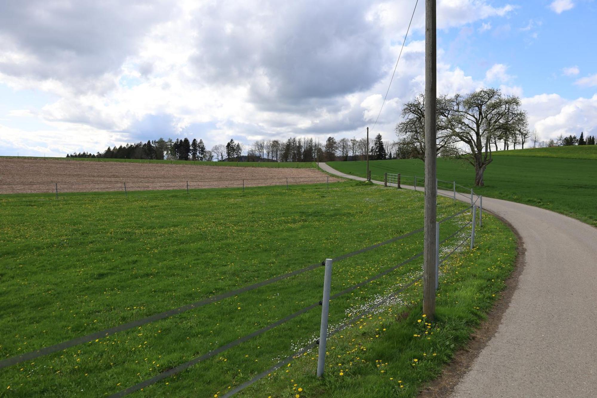 Ferienwohnung Hippenhof Hohenfels  Eksteriør bilde