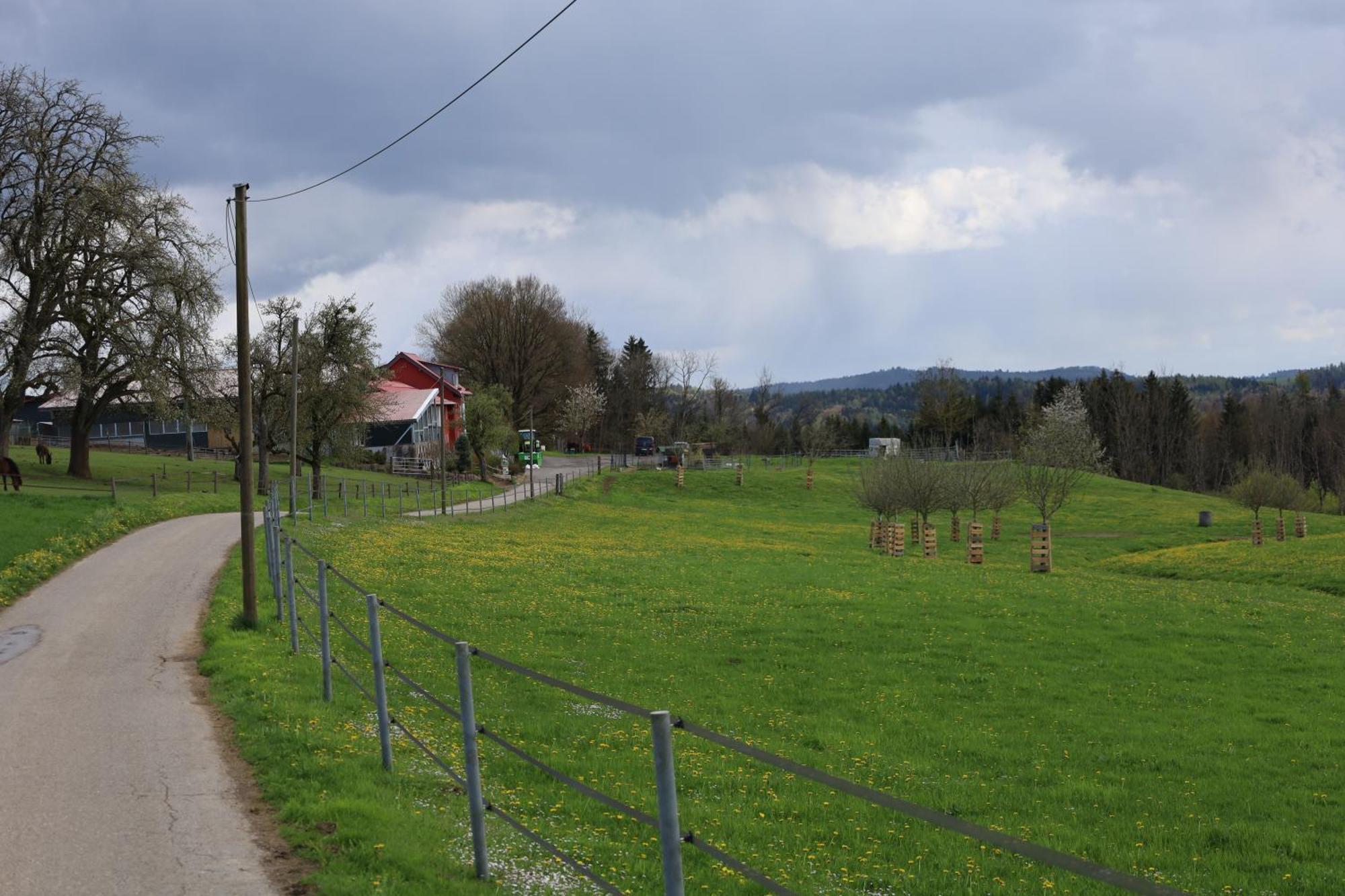 Ferienwohnung Hippenhof Hohenfels  Eksteriør bilde